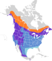 Spinus pinus map
