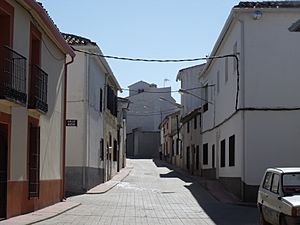 Sta Cruz Cáñamos d