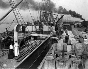 Steamer loading resin, Gulfport, MS 1906 cph.3b18580