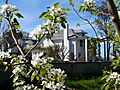 Stewart-Voorhies House with pear blossoms - Medford Oregon