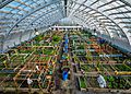 The Inuvik community greenhouse converted from an old hockey rink