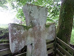 The Lady's Well Cross, Auchmannoch, Near Sorn, East Ayrshire