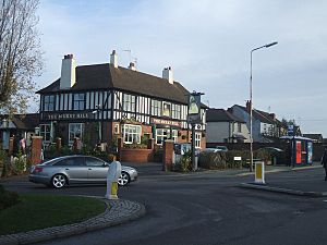 The Merry Hill - geograph.org.uk - 291139