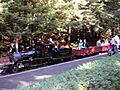 The train pulling into the station (58874090)