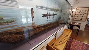 Timucuan Canoe 420-570 AD