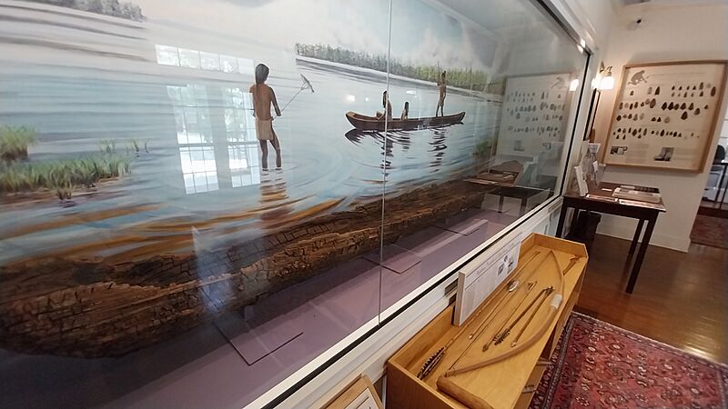 Timucuan Canoe 420-570 AD