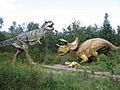 Triceratops-vs-T-Rex001
