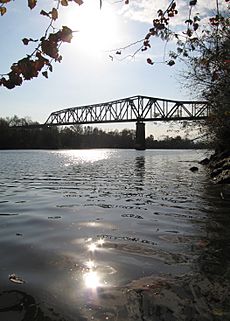 Tuscaloosa black warrior river