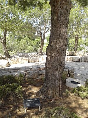 Uku Masing tree Yad Vashem1