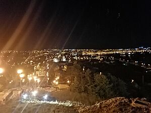 View from the monument hill Tulcea
