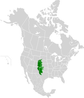 Western Short Grasslands map.svg