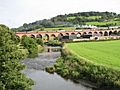 Whalley Viaduct and the River Calder - geograph.org.uk - 1455276