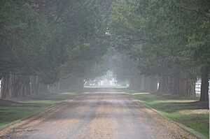 White Hall avenue