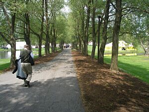 Willow path
