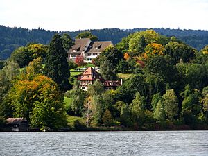 Zürichsee - Halbinsel Au IMG 0856