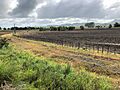 2019 view of Kimihia Branch from NIMT
