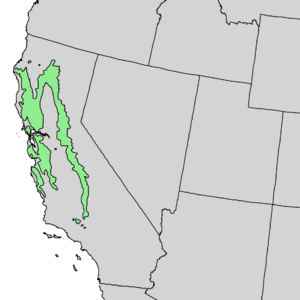 Aesculus californica range map 1.png