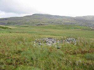Ancient cairn - geograph.org.uk - 500443