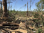 April 13, 2020, Livingston, South Carolina EF3 tornado damage