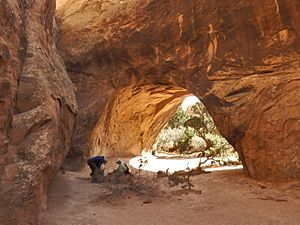 Arches Nationalpark Navajo Arch P4180554