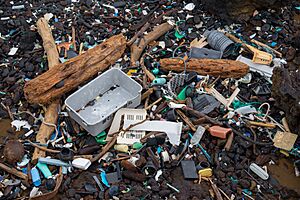 Beach trash (30870156434)