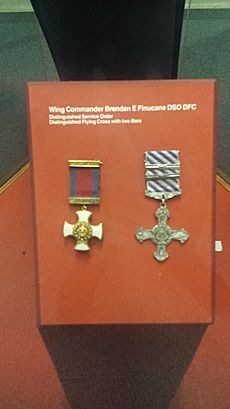 Brendan Finucane medals