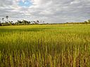 Cambodia 2014 - panoramio (5).jpg