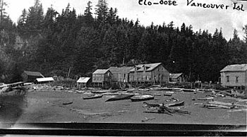 Canoes and buildings on the beach at Clo-oose, west coast of Vancouver Island, British Columbia, 1909 (AL+CA 2108)