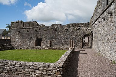Castlelyons Friary Cloister 2015 08 27