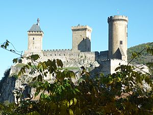 The castle of Foix