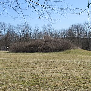 ClermontCountyEdgingtonMound