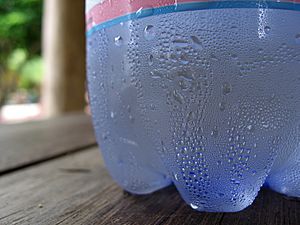 Condensation on water bottle