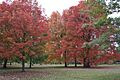 Corbin Park Historical District, Spokane, WA
