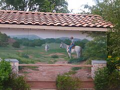 Cowboy mural in Bandera, TX Picture 099