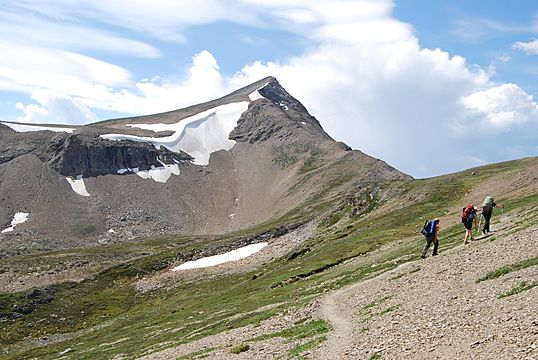 Curator Mountain from Skyline Trail