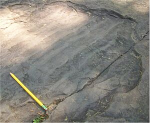 Dinosaur Footprints ripples