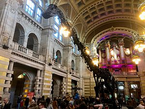 Dippy the Diplodocus carnegii on tour at Kelvingrove Art Gallery and Museum in 2019