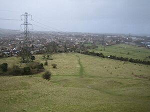 Dunstable, Blow's Down or Downs - geograph.org.uk - 145589