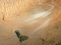 Dust Storms from Africa's Bodele Depression, Natural Hazards DVIDS848674