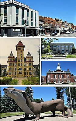 Clockwise from top: Downtown Fergus Falls, Otter Tail County Courthouse, Fergus Falls City Hall, Otto the Otter in Grotto Park, Fergus Falls Regional Treatment Center (former state hospital)