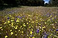 Fort Ord NM (9302538906)