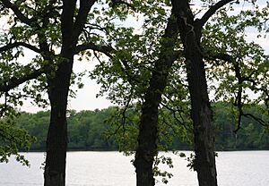FoxLakeMN