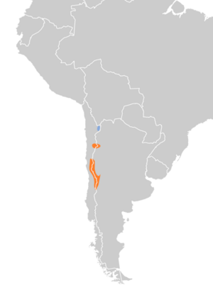 Geositta isabellina map.svg