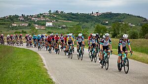 Giro d'Italia 2021, Stage 15