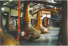Glenfiddich Distillery stills