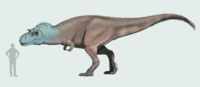Gorgosaurus 2022 Life Reconstruction.png