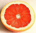 Grapefruit Schnitt 2008-3-3