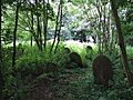Graveyard, Moorby - geograph.org.uk - 524076