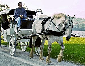 Horse and carriage-Duluth-2006