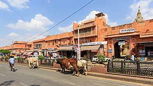 Jaipur 03-2016 26 Hawa Mahal Road at the City Palace